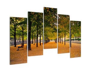 Obraz alei jesiennych drzew