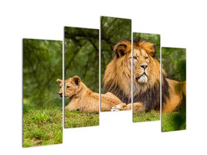 Obraz lwów