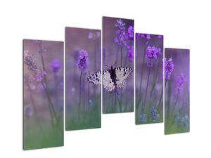 Schilderij - Vlinders in lavendel