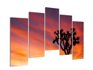 Schilderij - Zonsondergang en silhouet van een boom