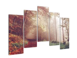 Obraz - Jesenná prechádzka lesom