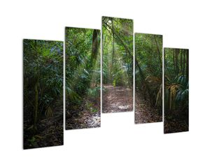 Schilderij - Zonnestralen in de jungle