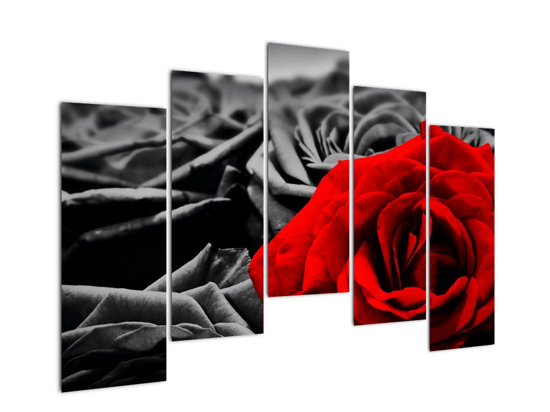 Tablou - Flori de trandafir (V021975V12590)