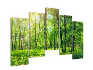 Obraz - Wiosenny las liściasty