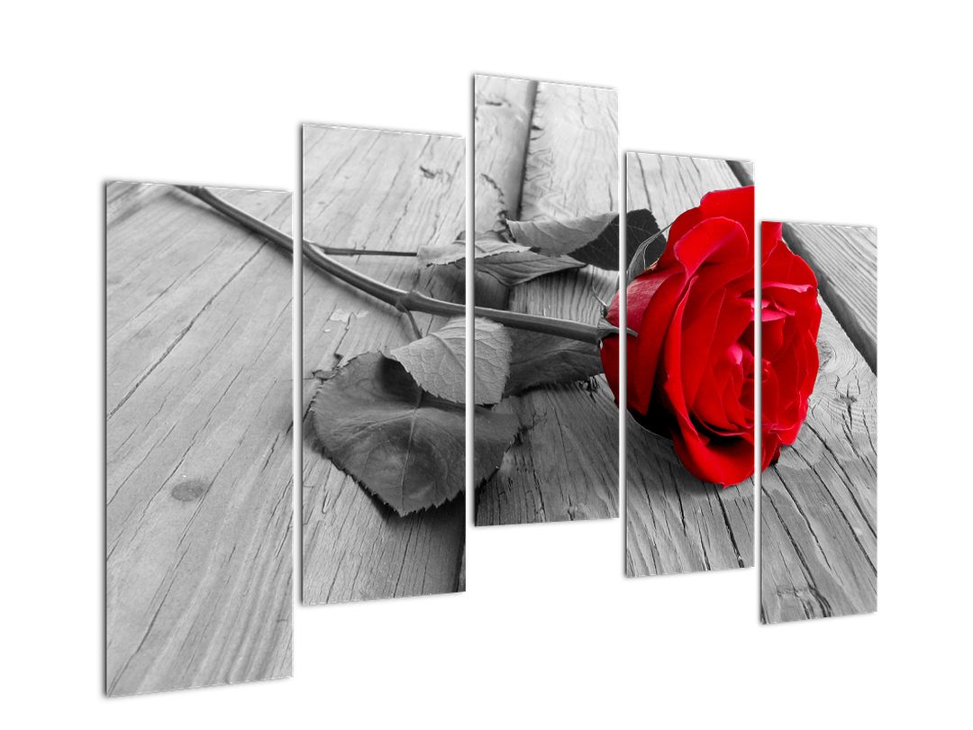 Obraz rudé růže (V022288V12590)