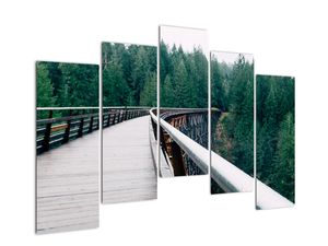 Kép - Híd a fák csúcsán