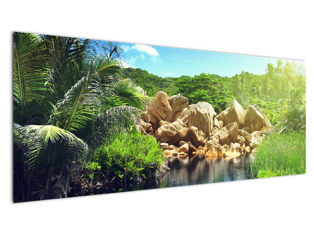 Obraz jezera v Seychelské džungli (V020651V14558)