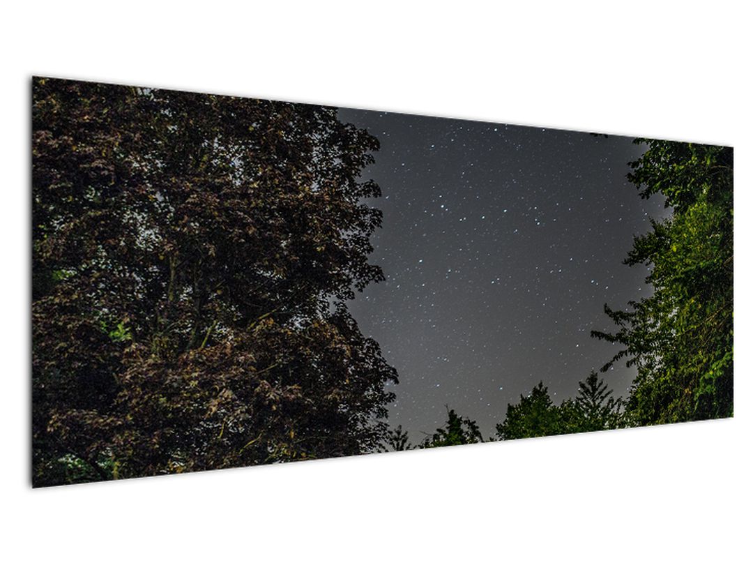 Obraz noční oblohy (V020998V14558)