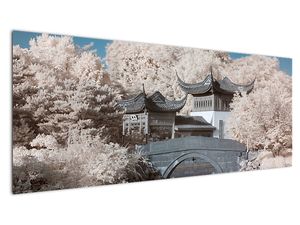 Slika - Cvetoča drevesa v Aziji