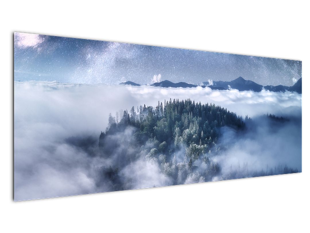 Obraz lesa v mlze (V022302V14558)