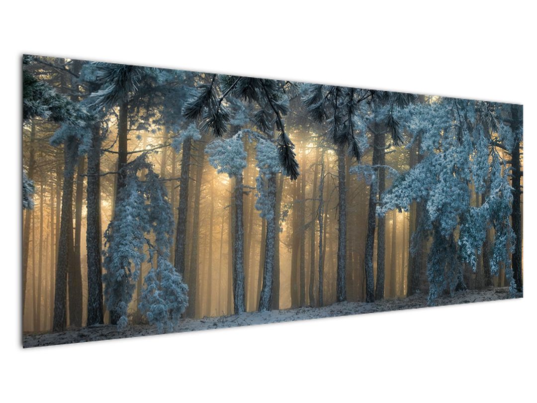Obraz zasněženého lesa (V022318V14558)
