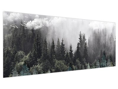 Bild auf Leinwand - Wald mit illustrierten Elementen