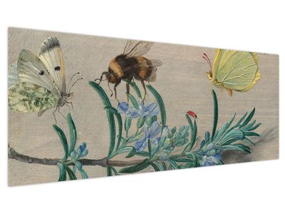 Bild auf Leinwand - Jan van Kessel the Elder, Insects and a Sprig of Rosemary, Reproduktionen