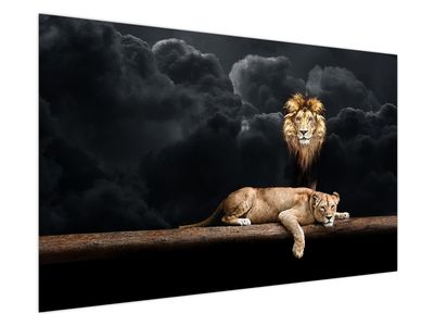 Slika - Lev in levinja v oblakih