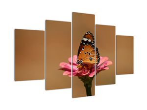 Schilderij - Vlinder op bloem