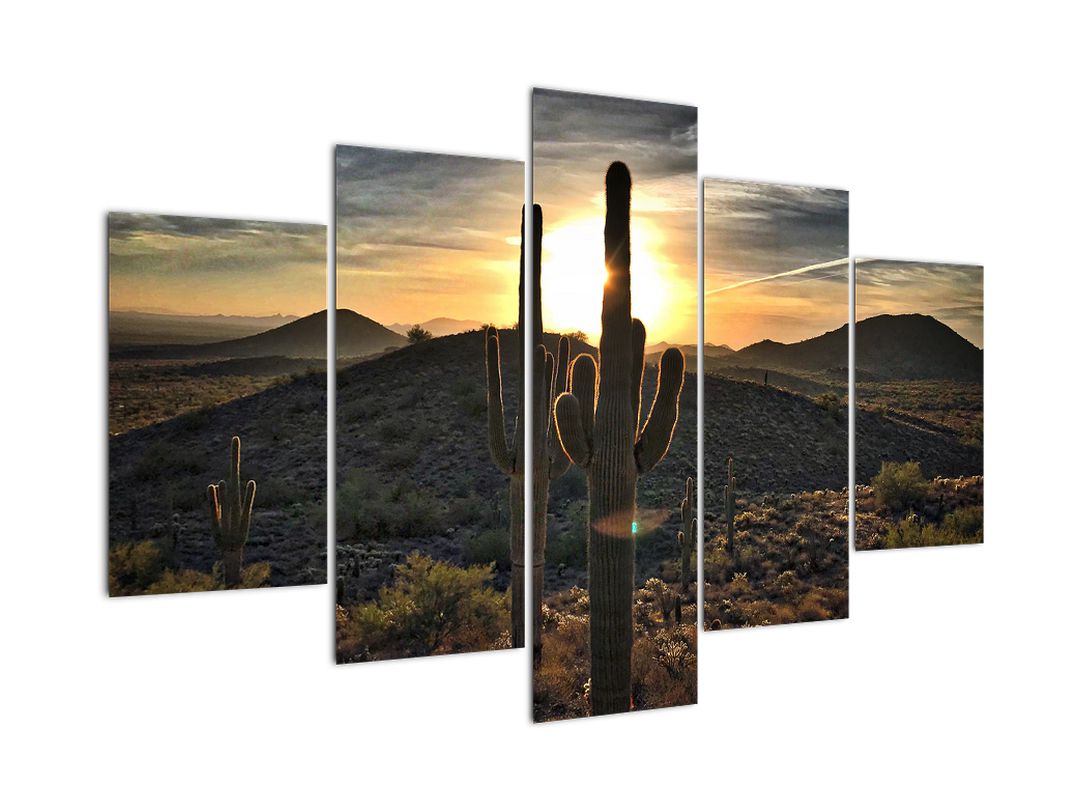 Obraz - kaktusy ve slunci (V020560V150105)