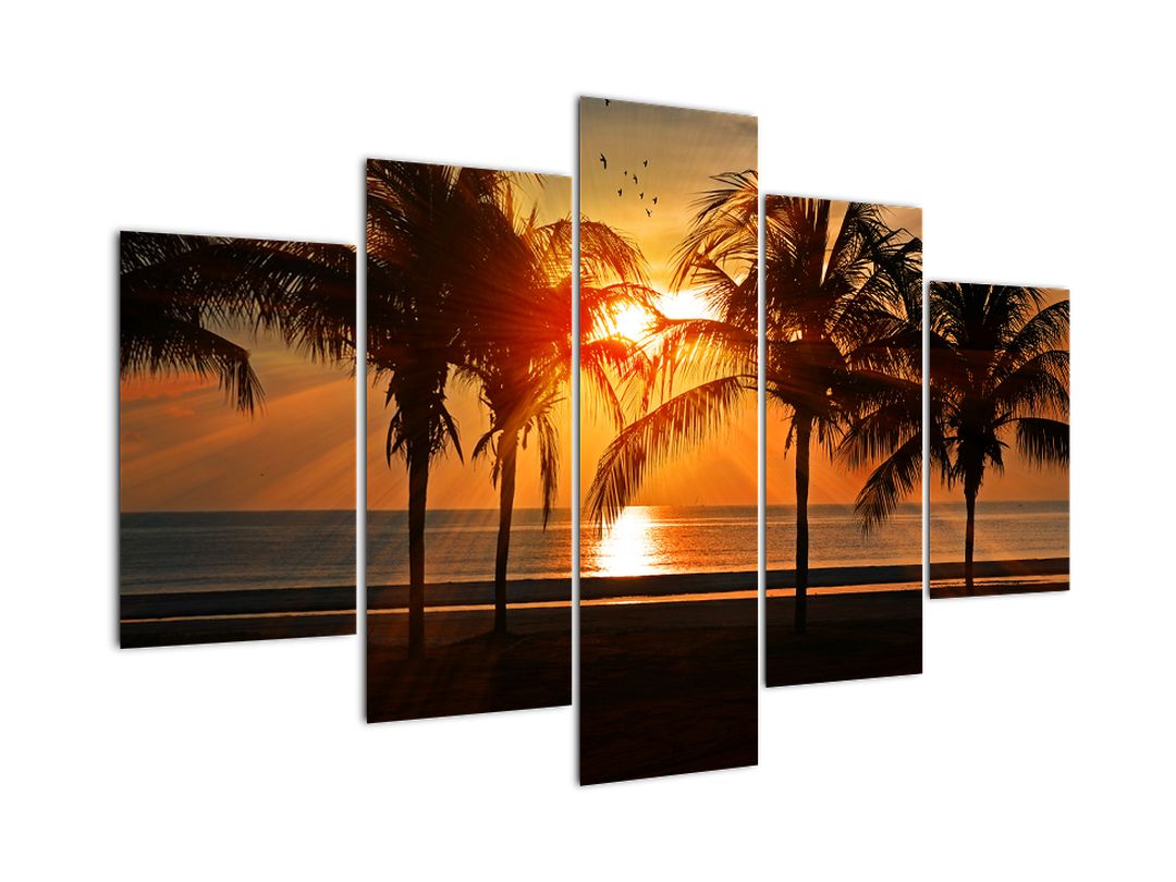 Obraz palmy v západu slunce (V020622V150105)