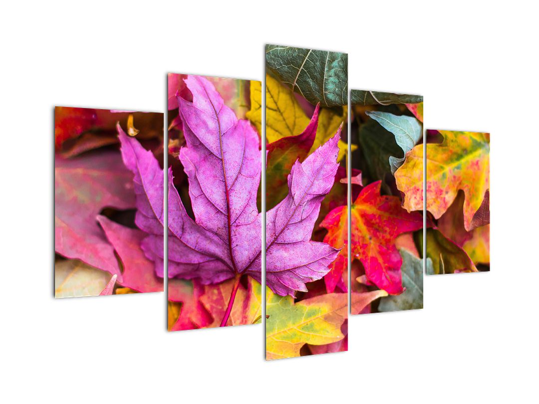 Obraz - podzimní listy (V020629V150105)