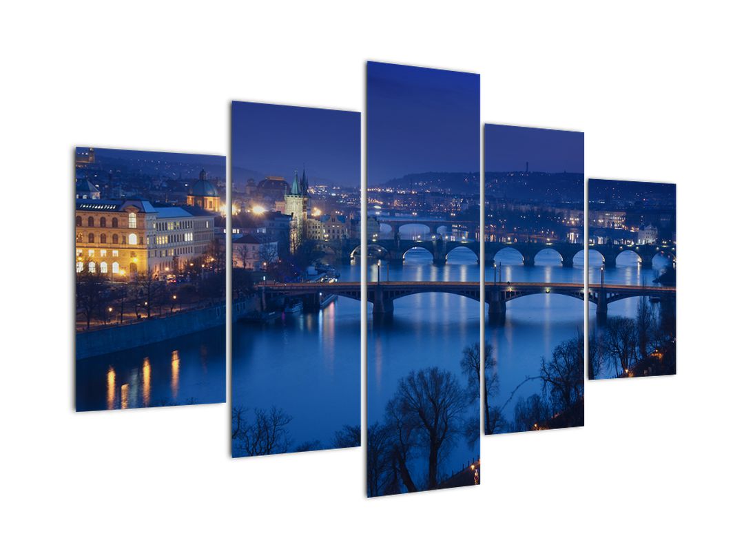 Obraz pražských mostů (V020932V150105)