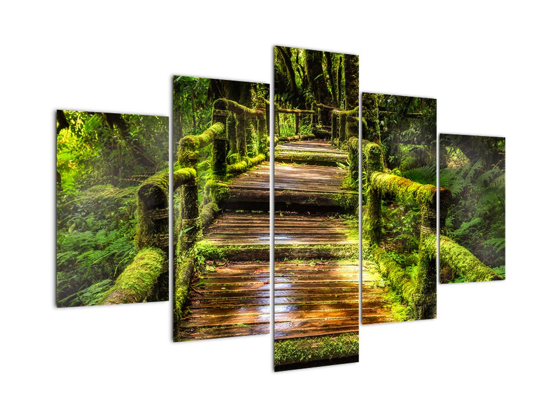 Obraz schodů v deštném pralese (V020941V150105)