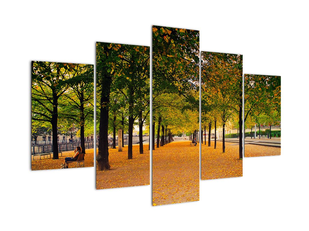 Obraz aleje podzimních stromů (V020953V150105)
