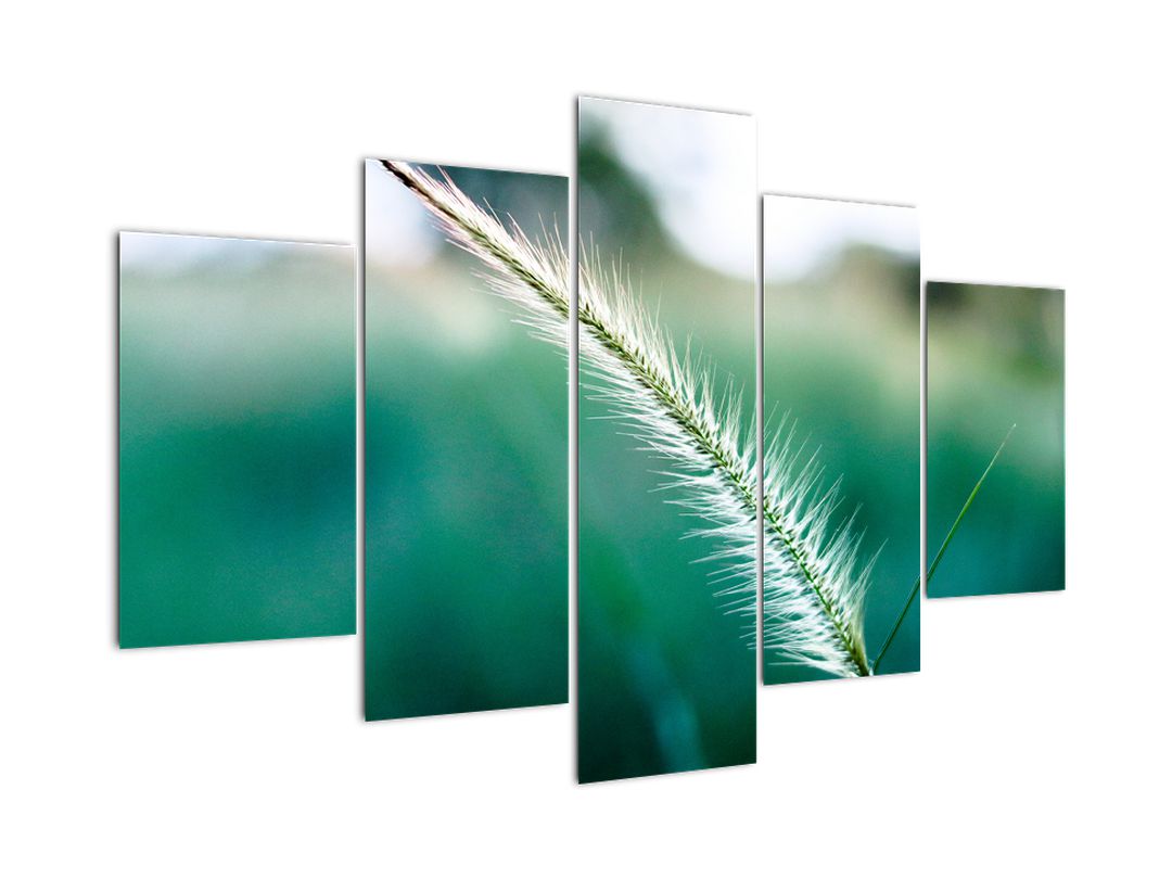 Obraz stébla trávy (V020962V150105)