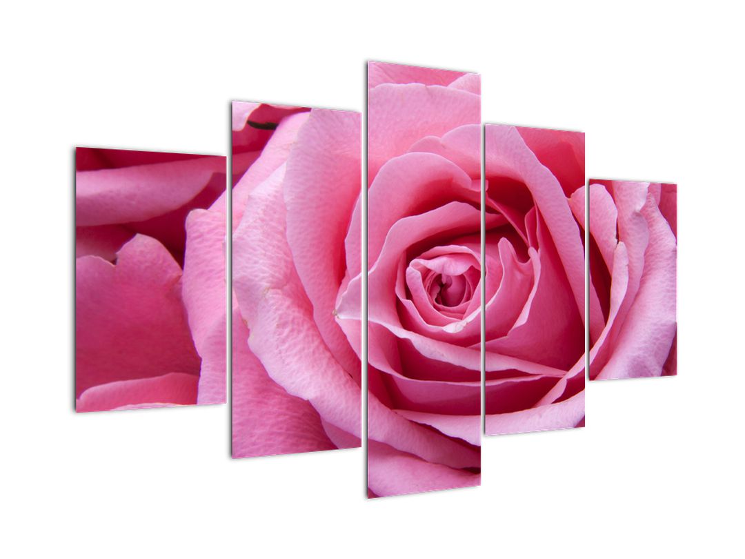 Tablou cu trandafir (V021234V150105)