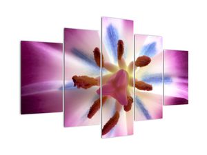 Obraz - Kwiat tulipana w szczegółach