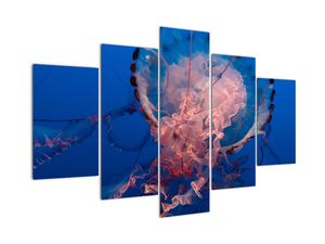 Obraz medúzy