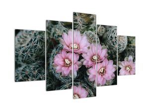 Kaktusz virágának képe