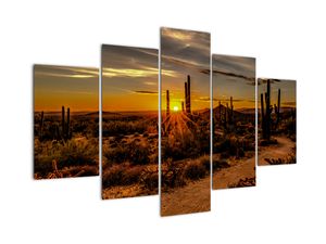 Slika - Kraj dana u pustinji Arizona