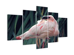 Schilderij - Flamingo