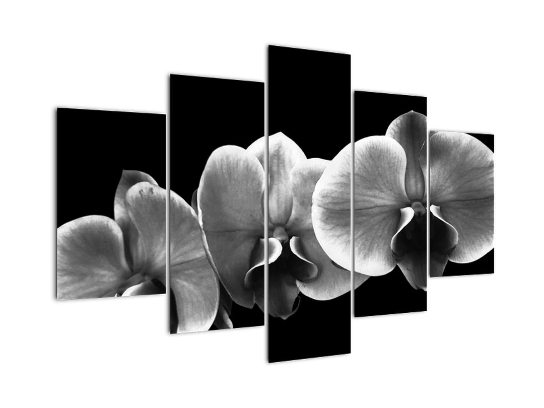 Tablou floare de orhidee (V022015V150105)
