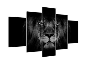 Kép - Az oroszlán és felsége (V022102V150105)