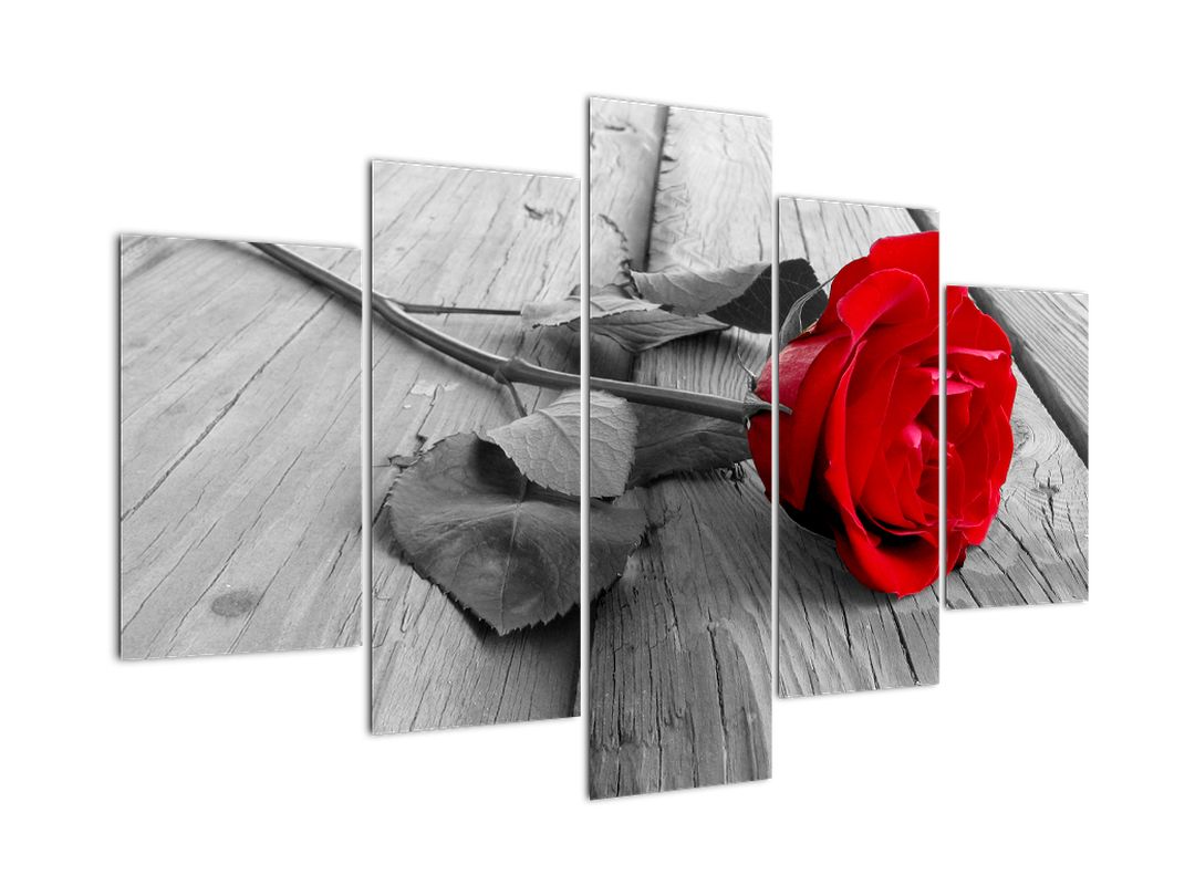 Obraz rudé růže (V022288V150105)