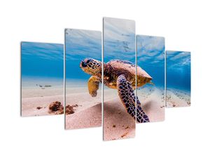Schilderij - Schildpad in de oceaan