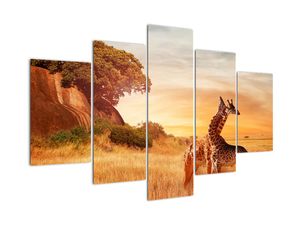 Obraz - Žirafy v Afrike