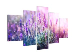 Schilderij - Lavendel in de zon
