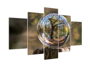 Obraz - Odraz ve skleněné kouli