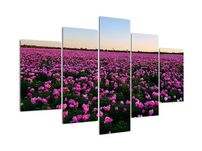 Schilderij - Weiland met paarse tulpen