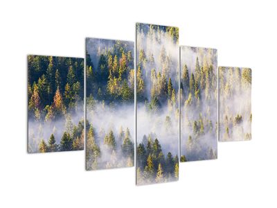 Obraz drzew we mgle