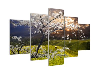 Tablou - Peisaj cu pomul înflorit