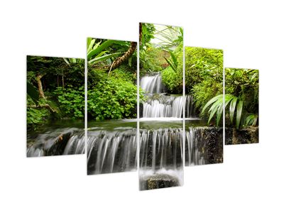 Obraz - Vodopád v deštném lese