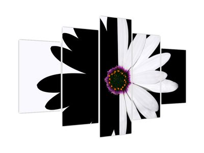 Slika črno-bele rože