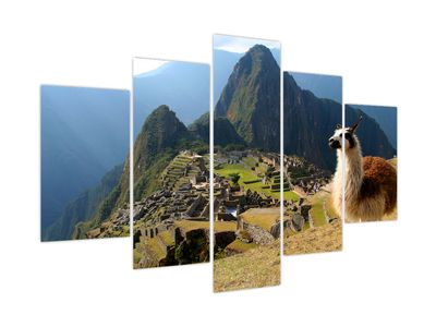 Obraz - Lama i Machu Picchu