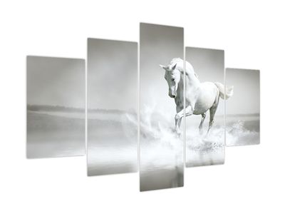 Slika - Bijeli konj