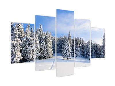 Bild auf Leinwand - Winter in Wäldern