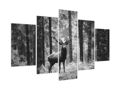 Slika - Jelen u šumi 2, crno-bijela