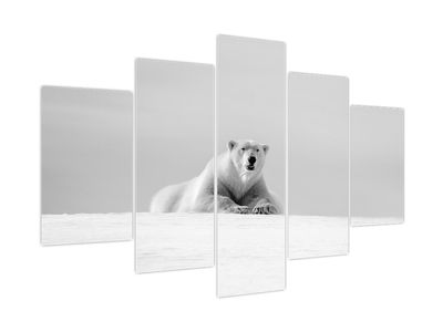 Obraz - Lední medvěd, černobílá