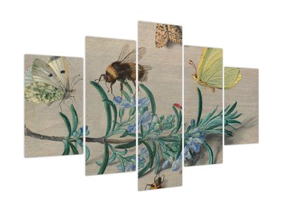 Kép - Jan van Kessel the Elder, Insects and a Sprig of Rosemary, reprodukciók